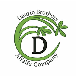 daurio brothers hudson co